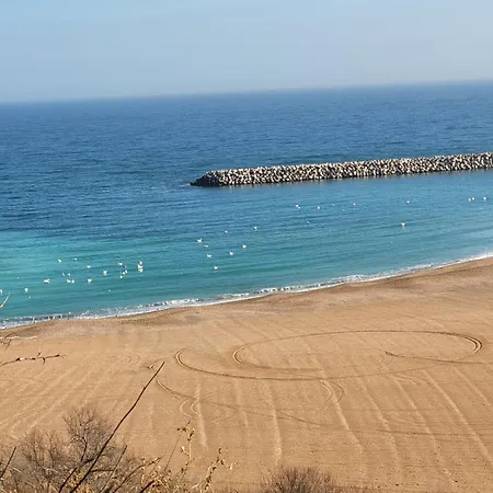 Casuta De Vacanta